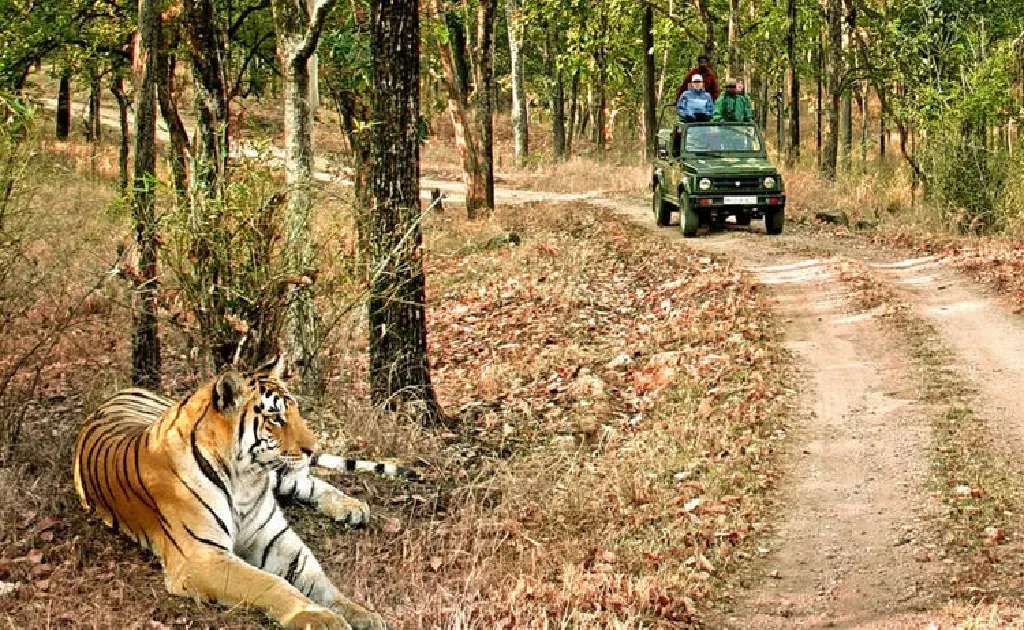 Uttarakhand Tour